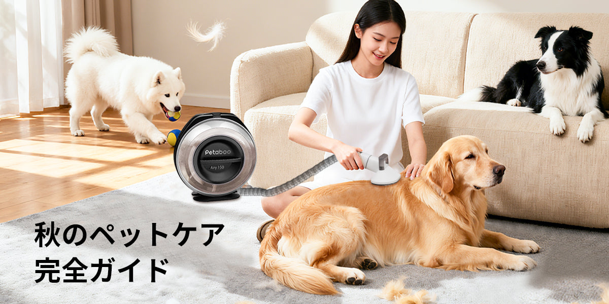 秋のペットケア完全ガイド:剪毛器・吸毛器で快適に過ごす毛抜け対策