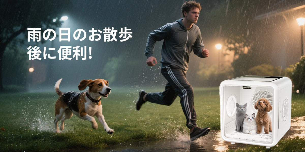 濡れた被毛をすぐに乾かすためのスマートな方法