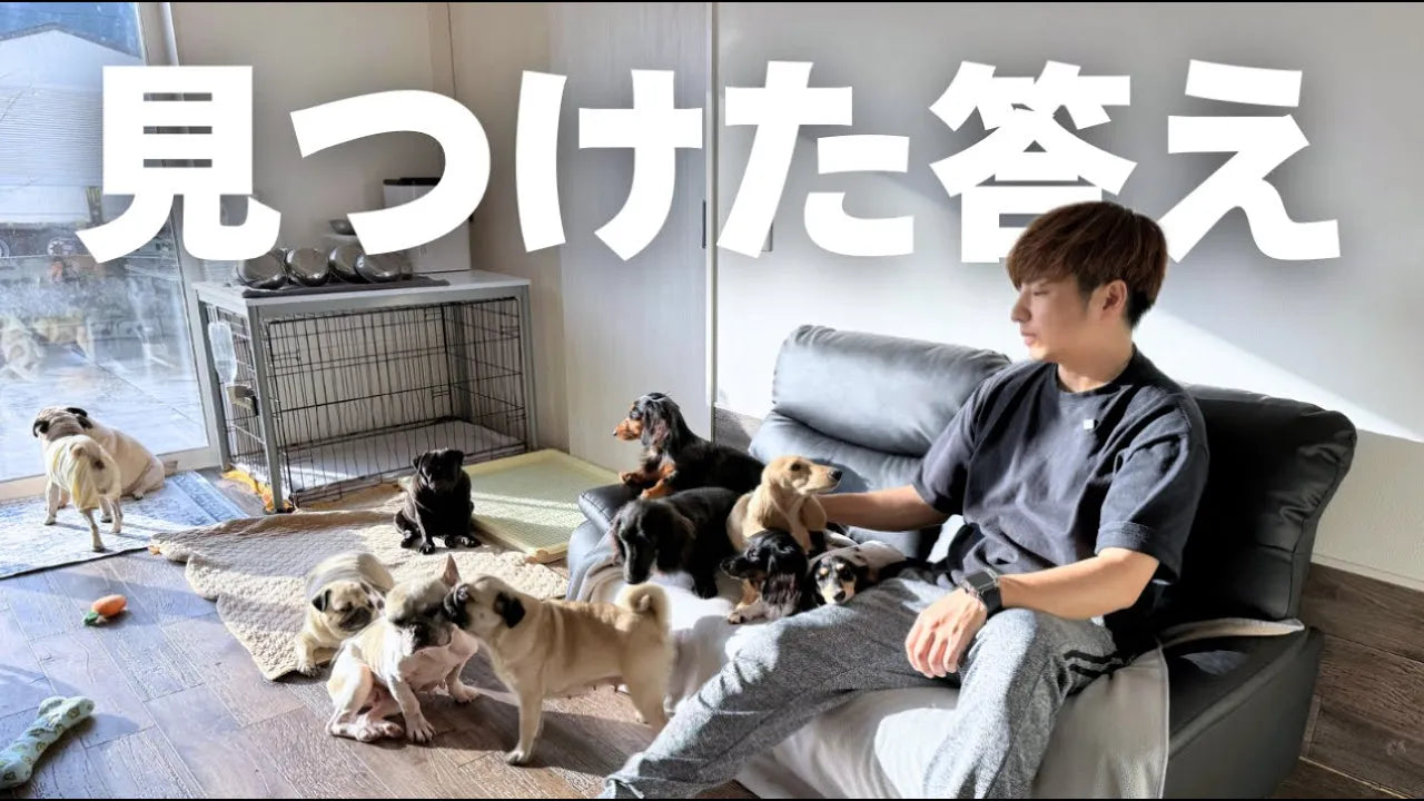 【犬7頭と暮らすおっさん】ペット業界一筋15年でも持っていなかった答えとは