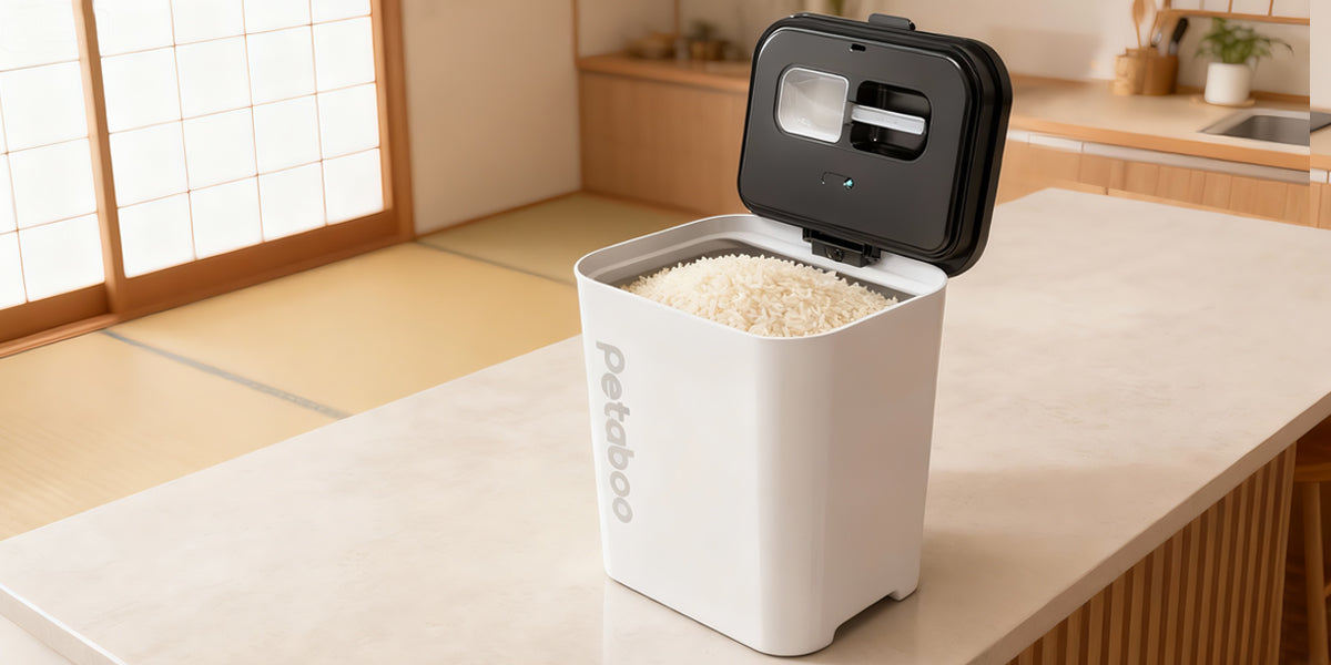 お米や穀物を長持ちさせるために知っておきたい基本