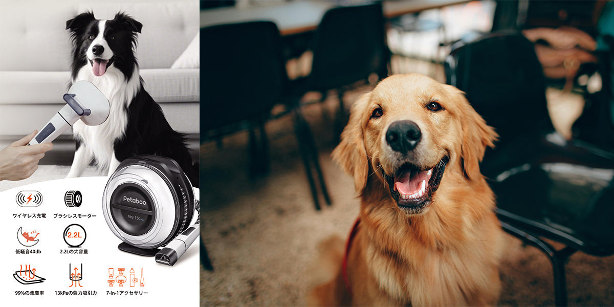 愛犬・愛猫のために、自宅で始める美容ケアのメリットとは?