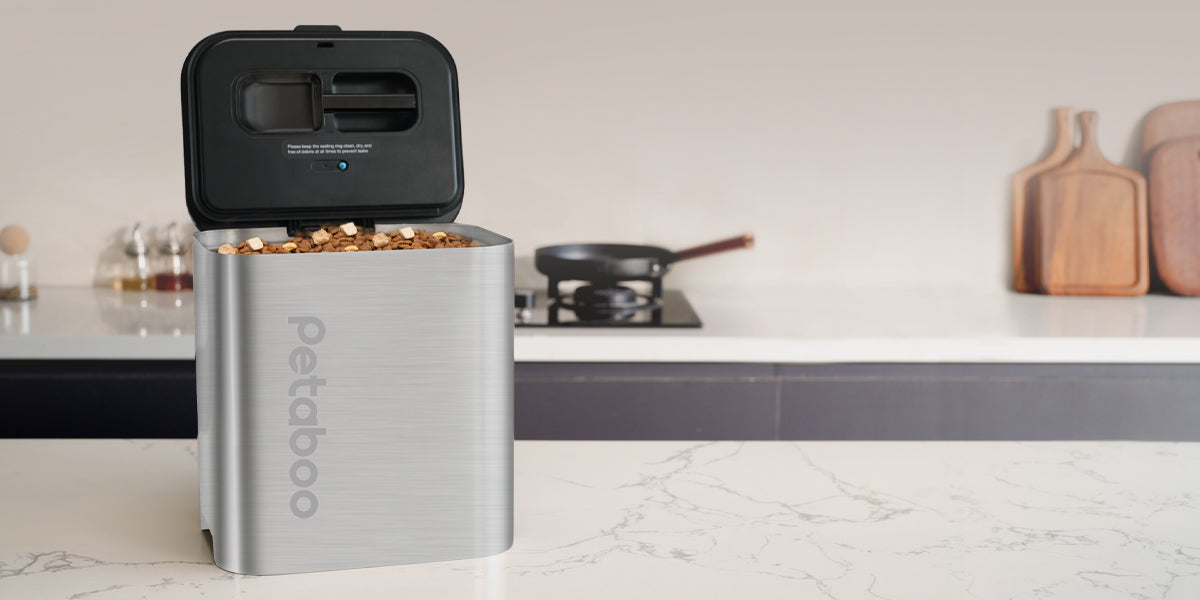 食品の鮮度をキープ!真空保存容器のメリットと選び方