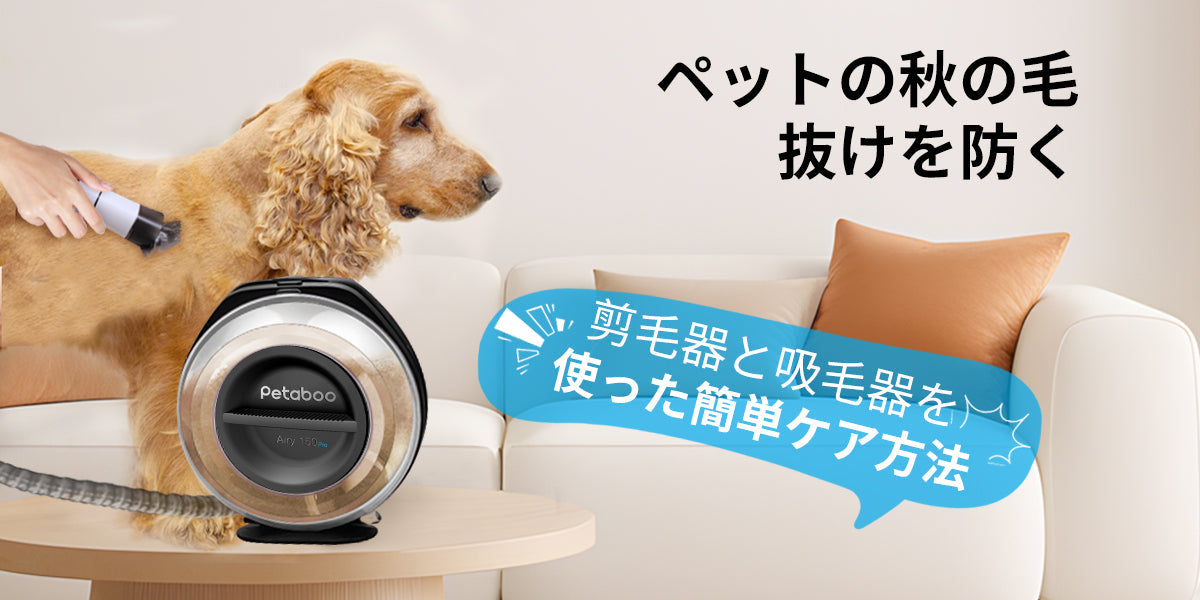 ペットの秋の毛抜けを防ぐ!剪毛器と吸毛器を使った簡単ケア方法