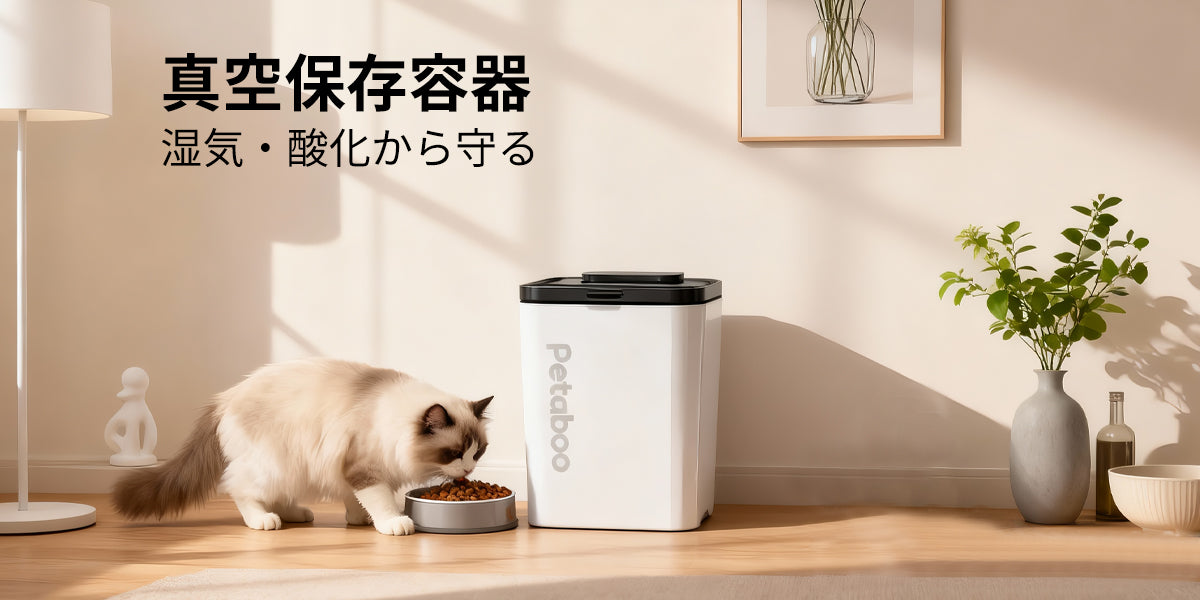 湿気・酸化から守る!真空保存容器で叶える快適な食材ストック術