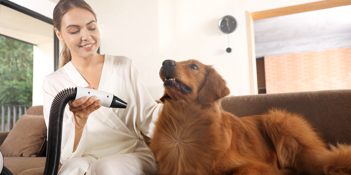 大風量ドライヤーで愛犬のドライ時間を半分に