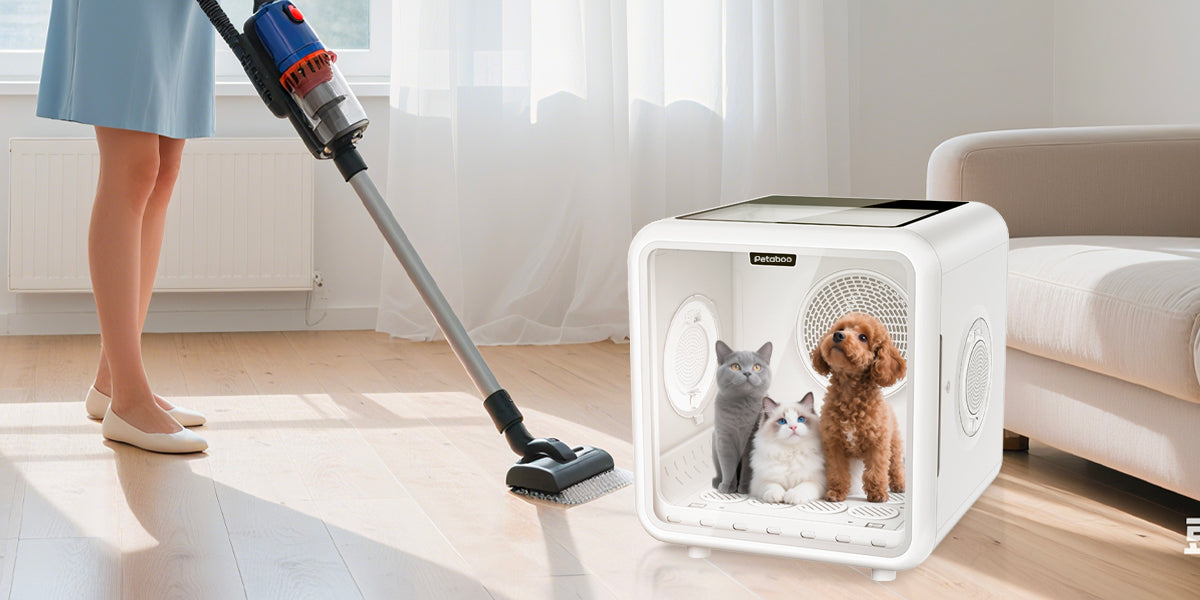 ドライヤーとペットドライルームの違いは?どっちが安全?