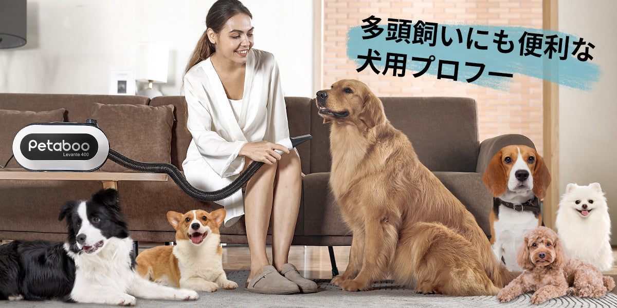 お風呂後の時短に!多頭飼いにも便利な犬用ブロワーとは?