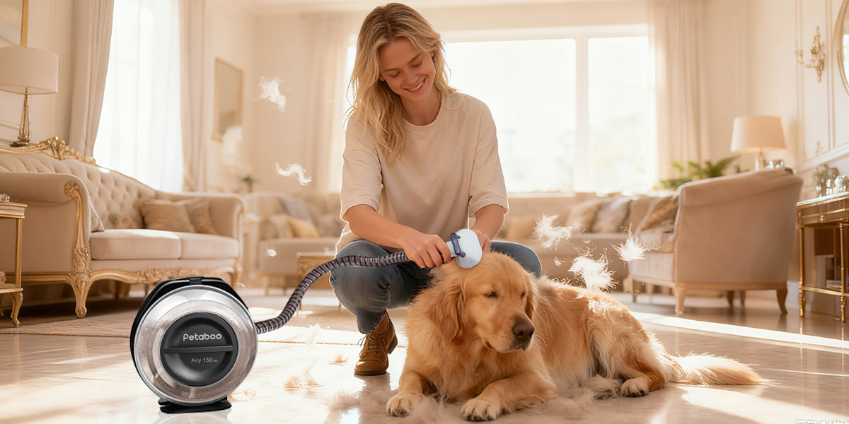 秋の換毛期対策!吸毛器でペットの抜け毛を効率よくお手入れ