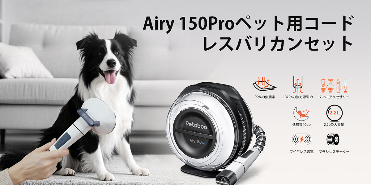 愛犬の健康と快適さを守るために、自宅でできるケアのすすめ