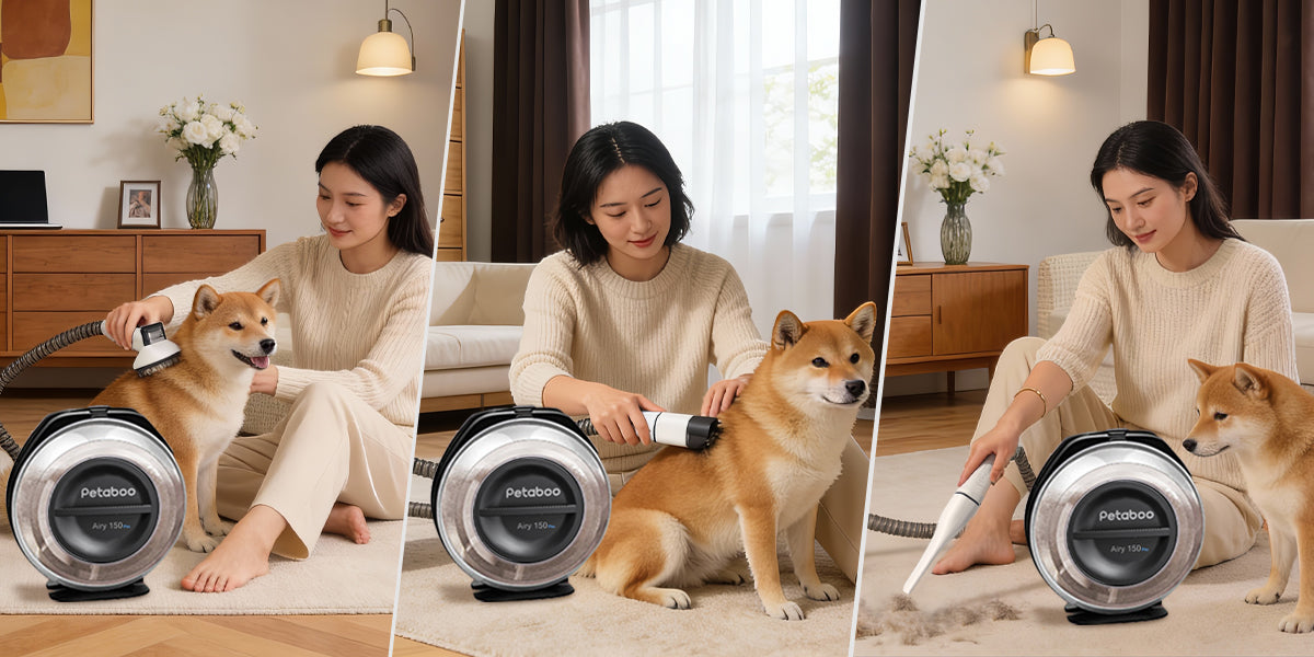 自宅でできるペットグルーミングの新常識:ストレスを減らすお手入れ時間の作り方