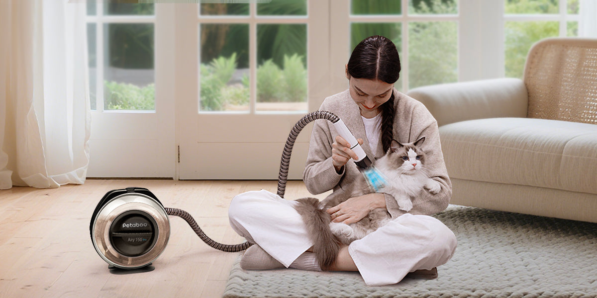 いつでもどこでもペットの美容を実現する方法