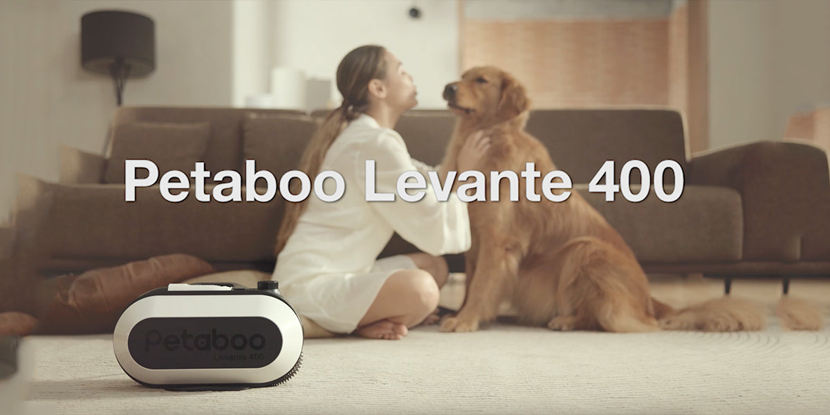 愛犬との快適な暮らしに欠かせない、乾燥ケアの重要性とは?