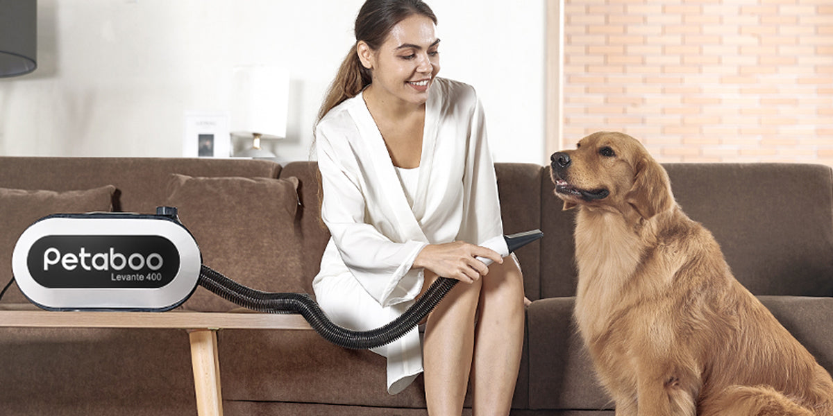 「自然乾燥」は本当に安全?