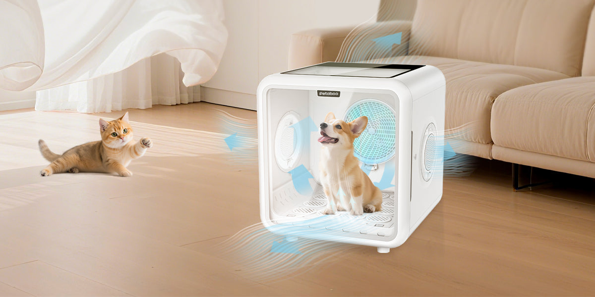 ペットドライルームって本当に必要?使うメリットとは?初めて購入を検討している飼い主向け解説