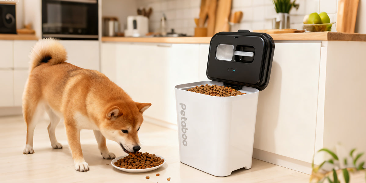 真空保存容器で鮮度長持ち!ペットフードを安全に保管するためのポイント