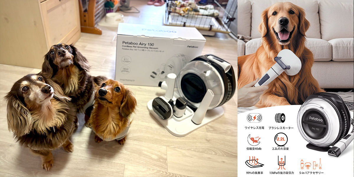 愛犬との暮らしをもっと快適にする「毛のお手入れ」のすすめ