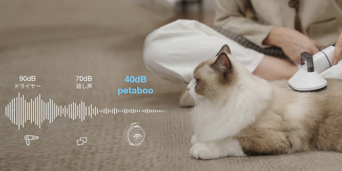 母の日に贈る“癒しの時間”――愛犬・愛猫と過ごす特別な一日