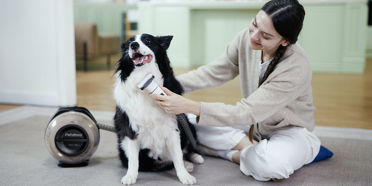 トリマーに聞いた!おうちでできるプロ級のペットケア方法
