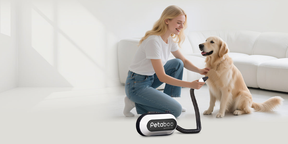 風邪予防+毛艶ケア、プロのトリマーが愛用する犬用ドライヤーの魅力