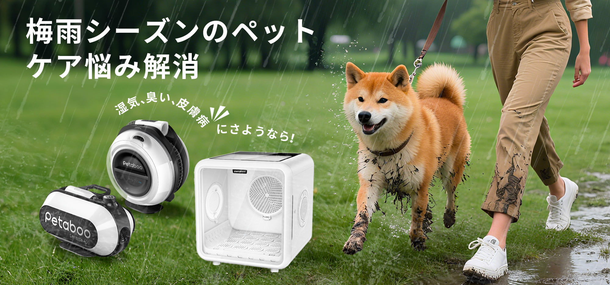 梅雨の湿気からペットを守る。雨の季節に実践したい清潔ケアと健康管理