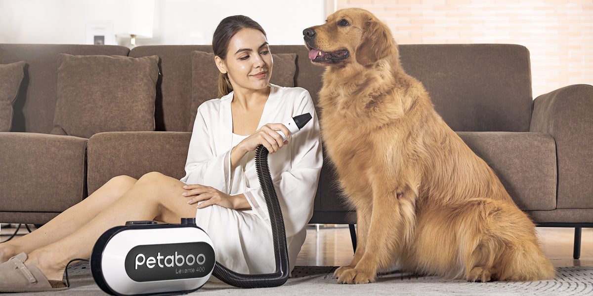 愛犬が嫌がらない!静音&速乾のペット用ドライヤー