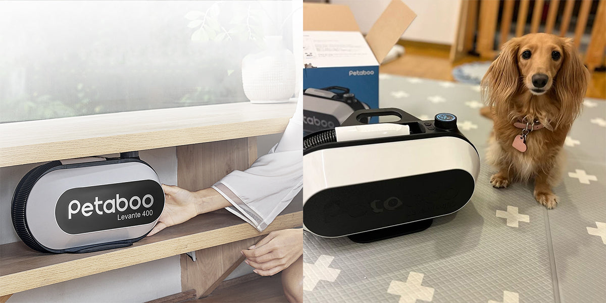 愛犬の「乾かす時間」が長すぎると感じる飼い主さんへ