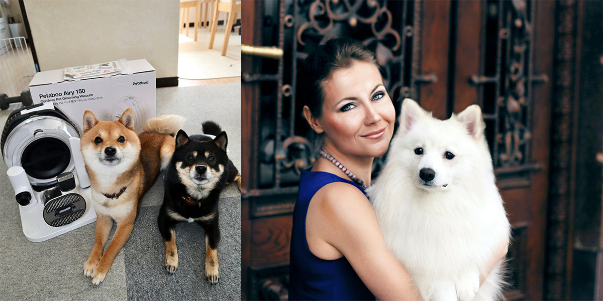 夏のペットお手入れ術:抜け毛対策・毛刈り・涼感ケアを一気に解決!