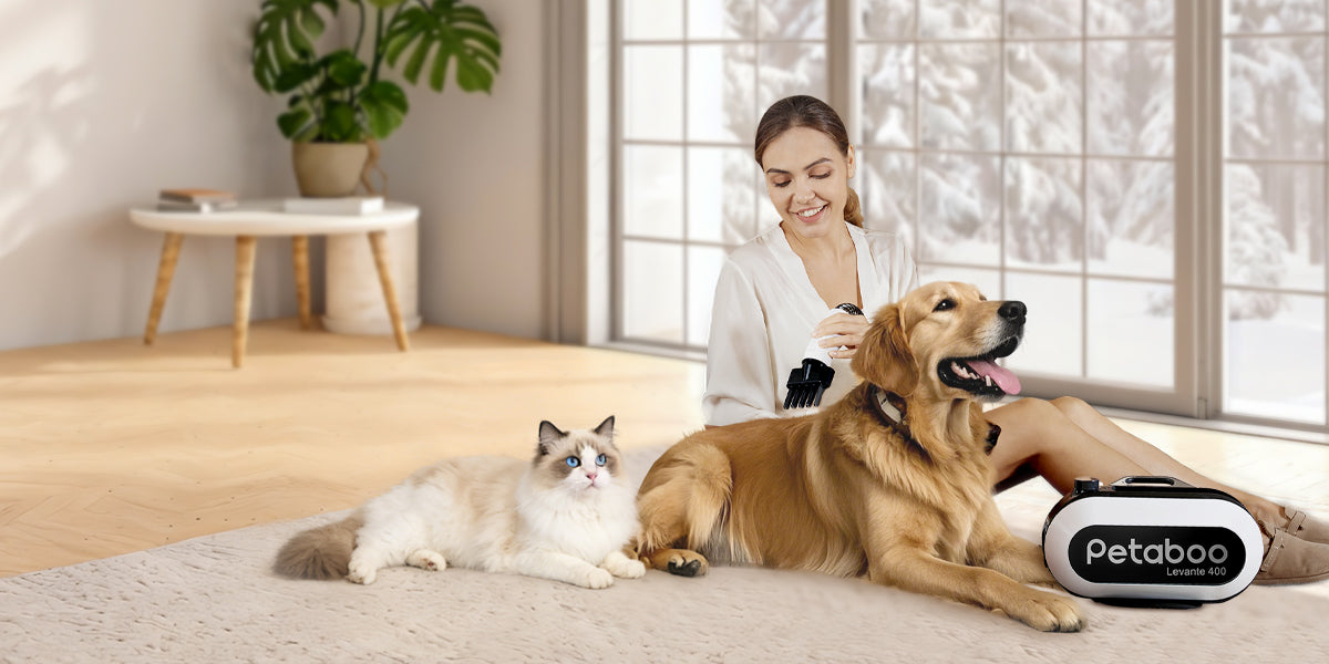 冬の愛犬ケア:寒い季節でも快適に毛を乾かすコツ