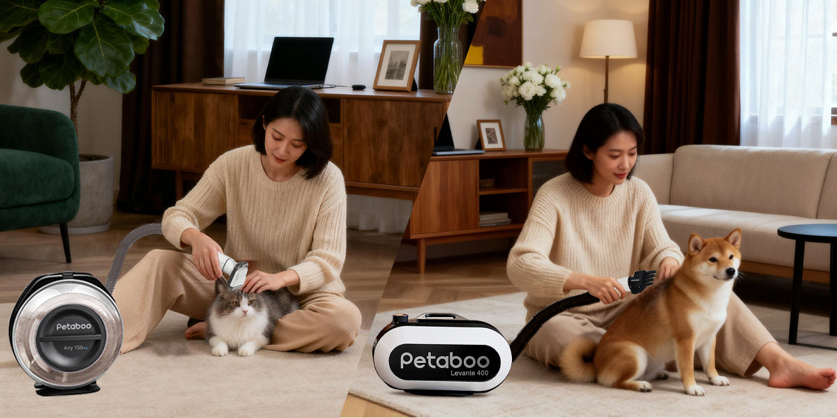 おうちで簡単!ペット用ドライヤーを使った毛の絡まり防止&乾燥ケアのコツ