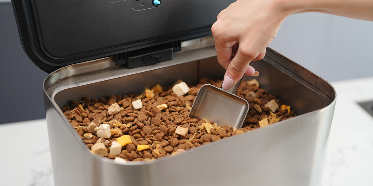 もう湿気や虫に困らない!米や乾物に最適な真空ストッカー特集