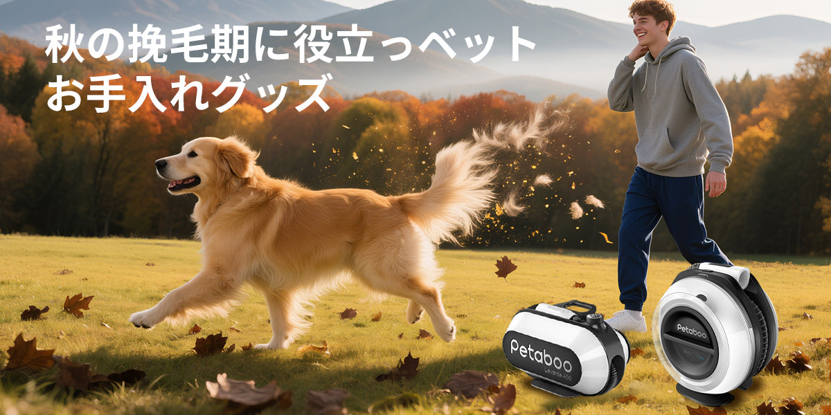 多頭飼いでも安心！秋の換毛期に役立つペットお手入れグッズ紹介