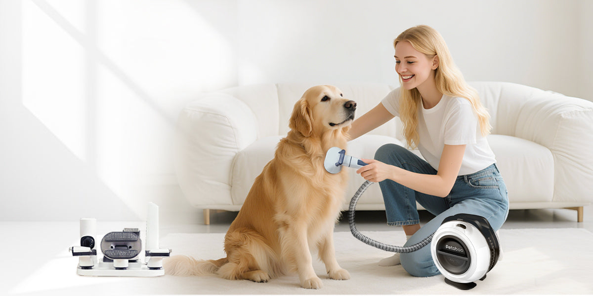 軽度の毛玉は自宅で解決！犬の毛を上手にトリミングする最善の方法とは？