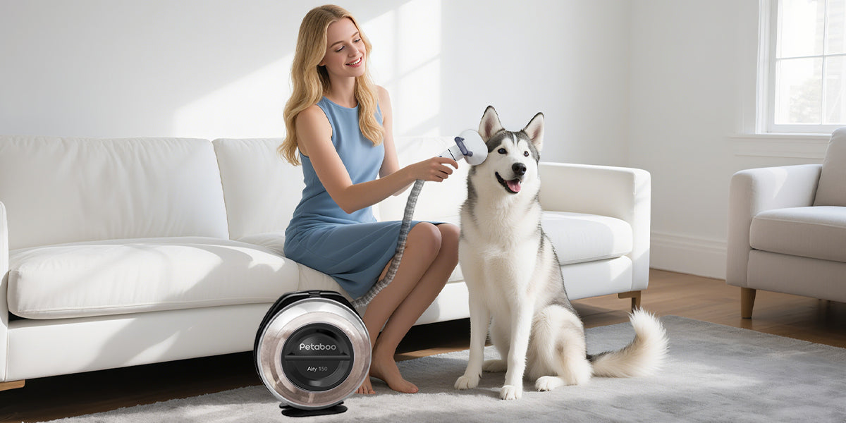 抜け毛の季節が来た！毛並みを整えるお手入れ習慣と便利グッズ