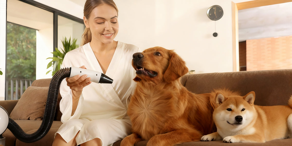 大型犬も小型犬も快適に乾かす！プロ仕様ペットドライヤーの選び方と使い方