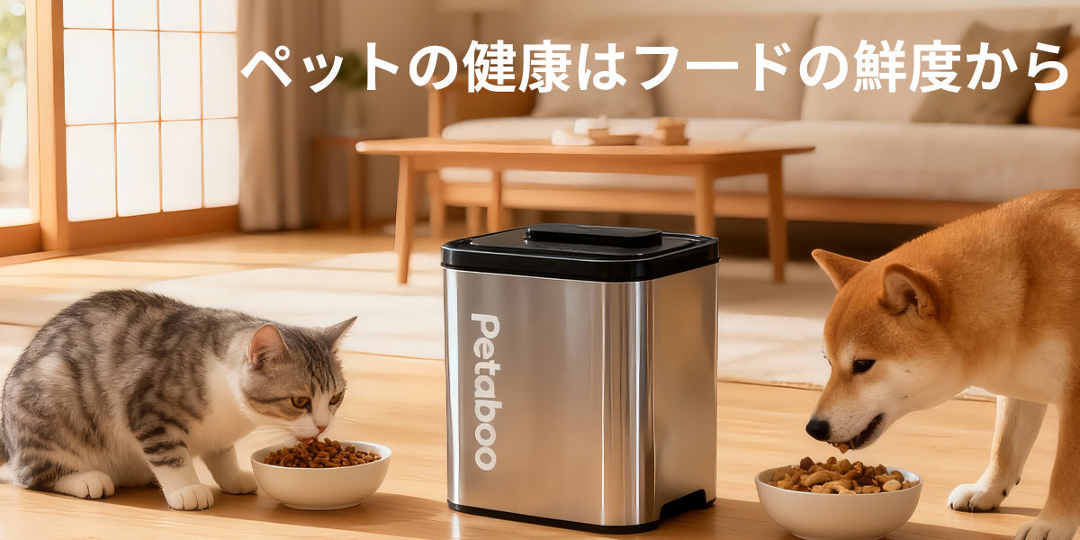 毎日の食事を守る保存環境の作り方