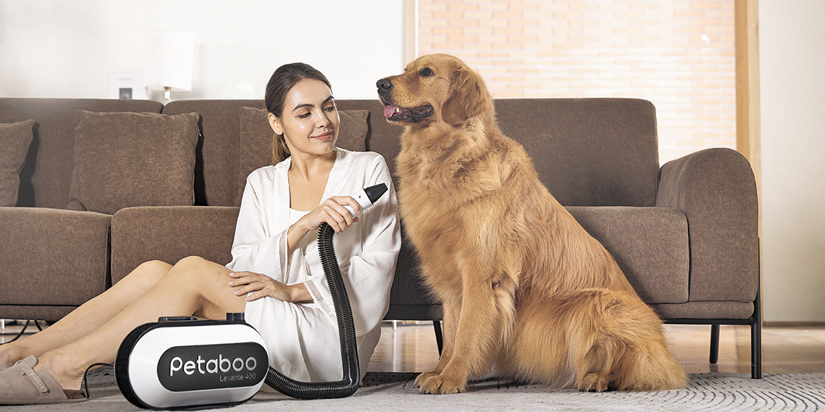 ペットの皮膚トラブルを防ぐために見直したい「乾かし方」