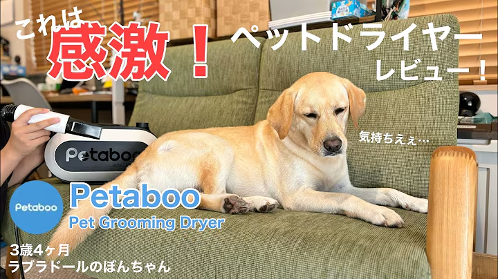 これは感激!ペットドライヤ一のご紹介