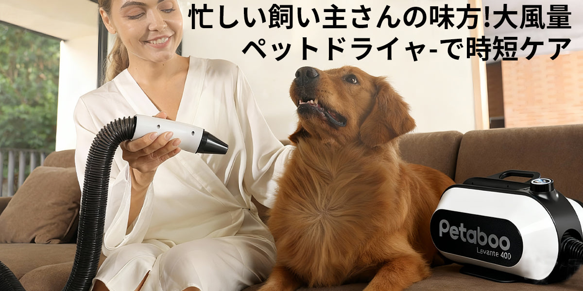忙しい飼い主の味方！ペットドライヤーで時短＆安心ケア