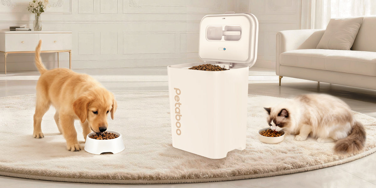 ペットフードの鮮度を長持ちさせる保存テクニックとフードストッカー活用法