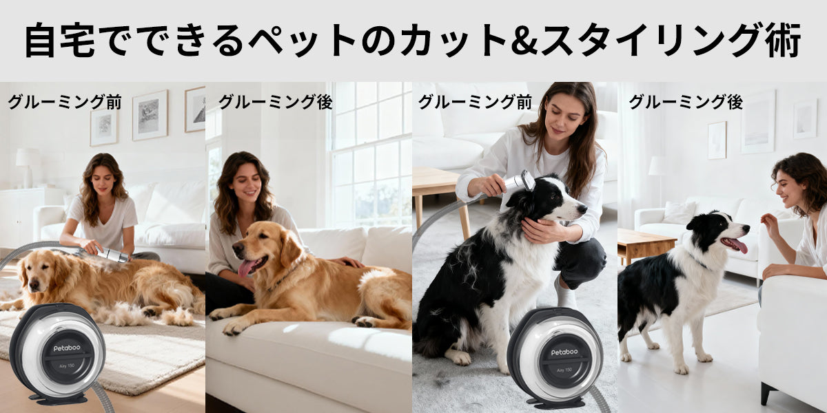 自宅でできるペットのカット、その魅力とは