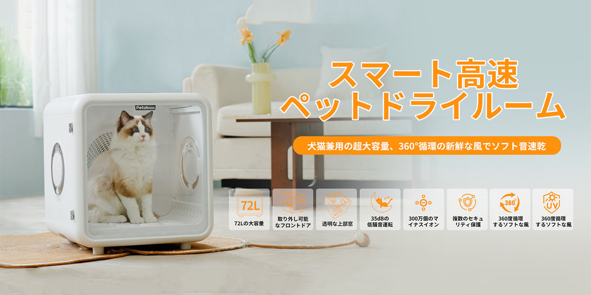 猫が嫌がらない！おうちでできる時短グルーミング術