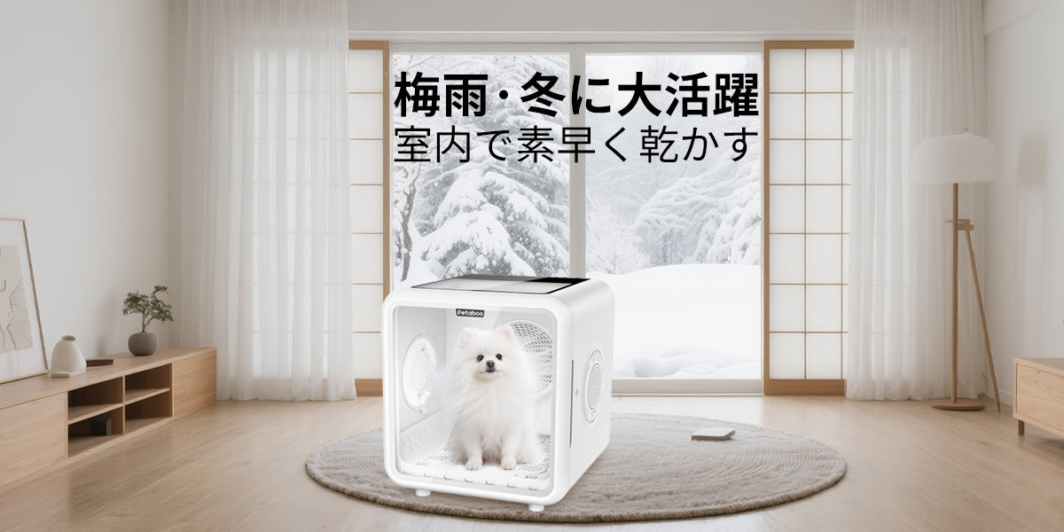 梅雨・冬に大活躍！室内でも快適にペットを乾かす環境作りのポイント
