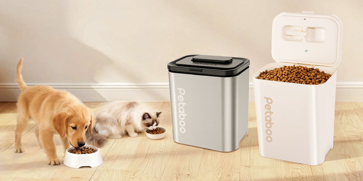 ペット食品保存の小さな工夫が健康を守る