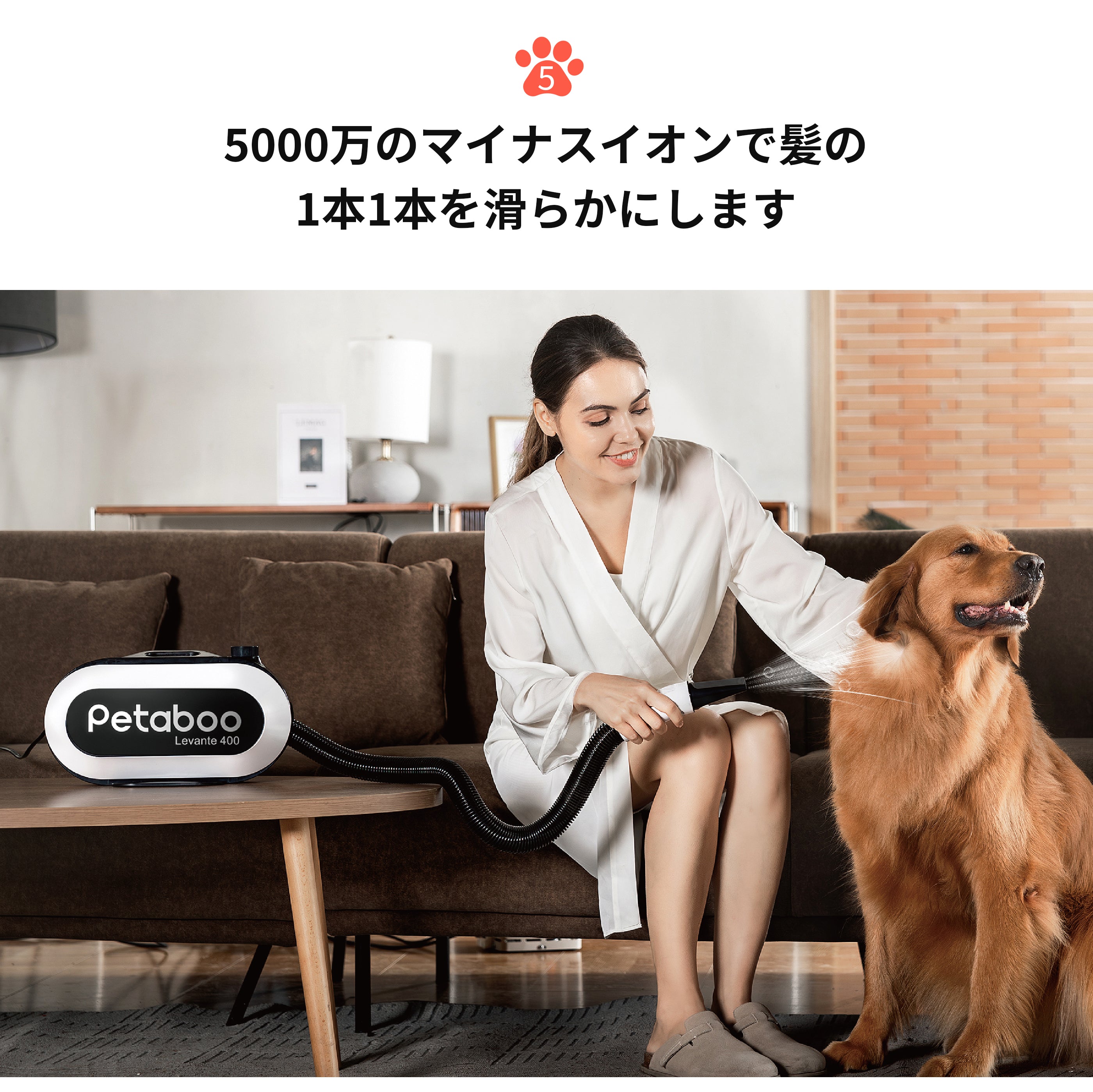 petaboo Levante400 ペット用ドライヤー Amazon.com: petaboo Dog Blow Dryer - Ultra-Quiet 40dB Cat
