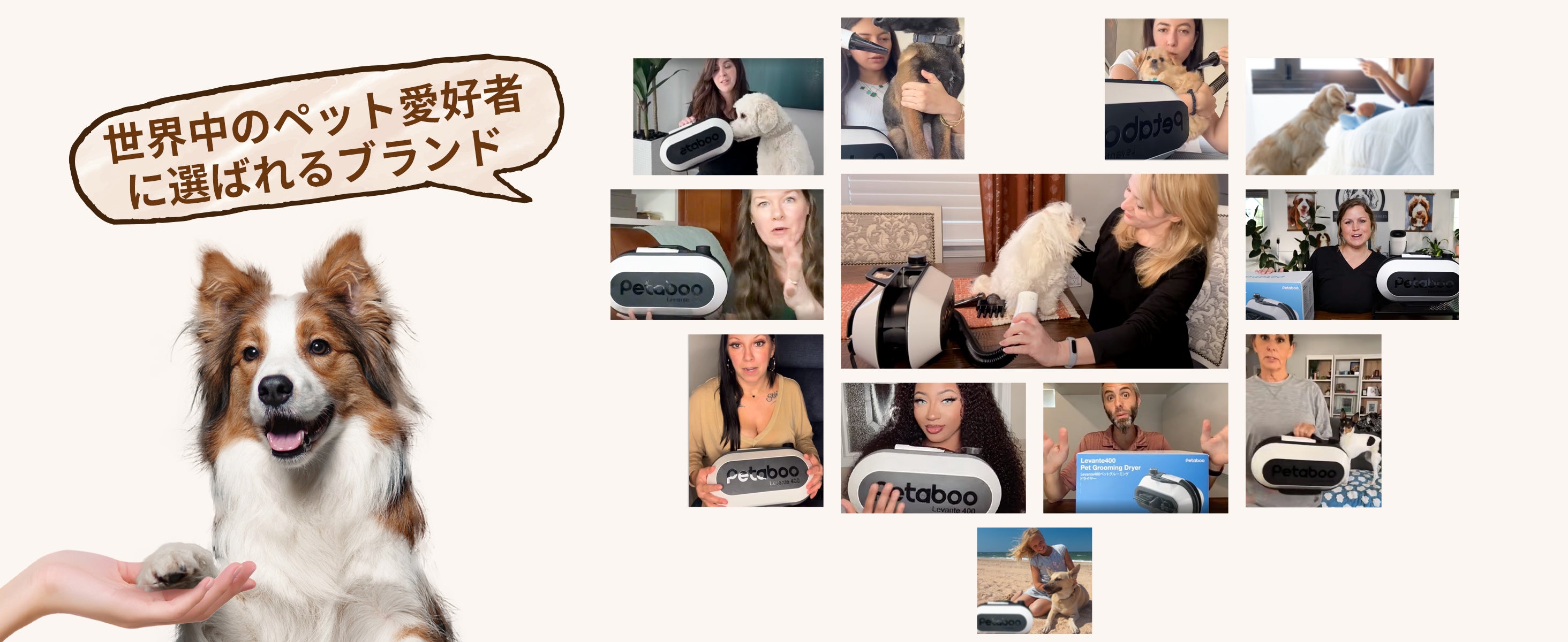 Petaboo Levante400 ペットグルーミングドライヤー 🐶😽PetGrooming Dryer [High-velocity Force Blower]